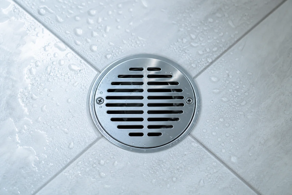 remontée odeur douche